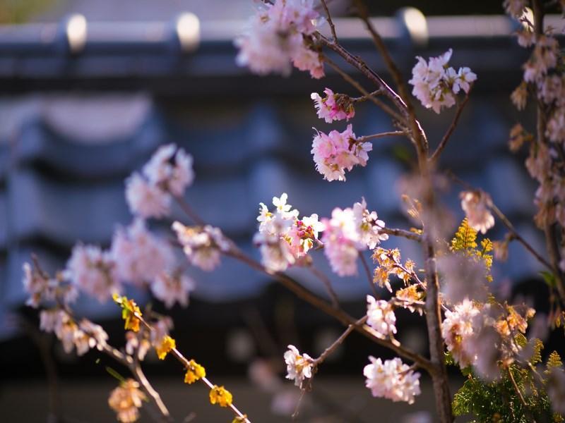 Motoyu Ryokan อาซึกิ ภายนอก รูปภาพ