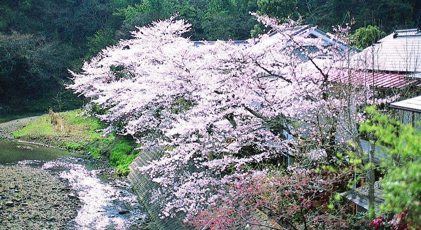 Motoyu Ryokan อาซึกิ ภายนอก รูปภาพ